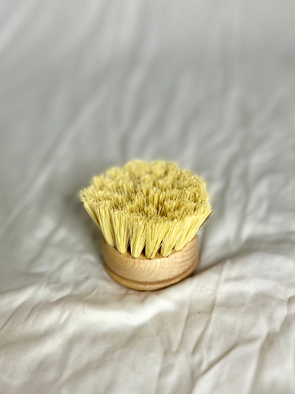 Bamboo and Beech Kitchen Cleaning Brushes