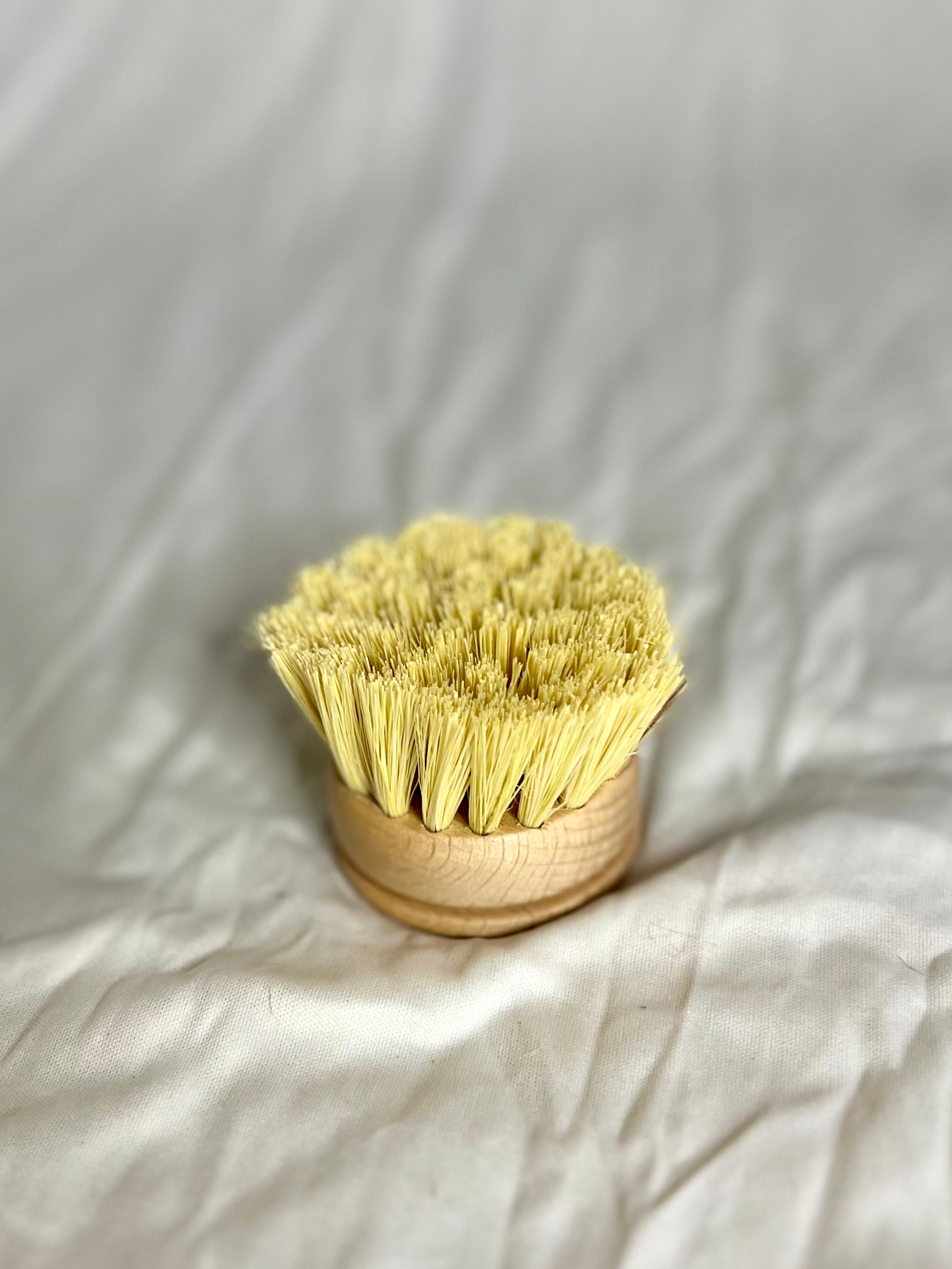 Bamboo and Beech Kitchen Cleaning Brushes