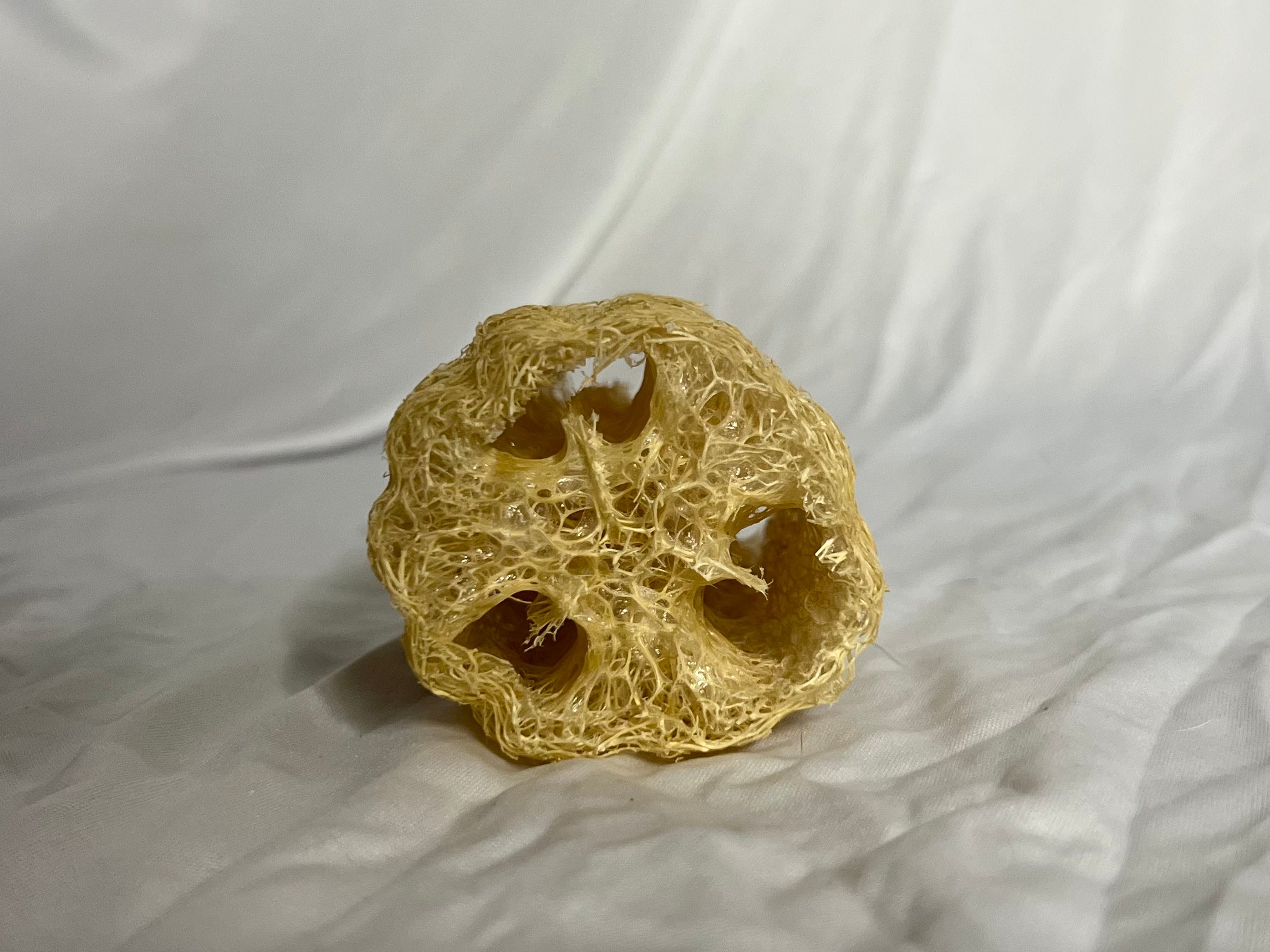 Natural Sponge Loofah